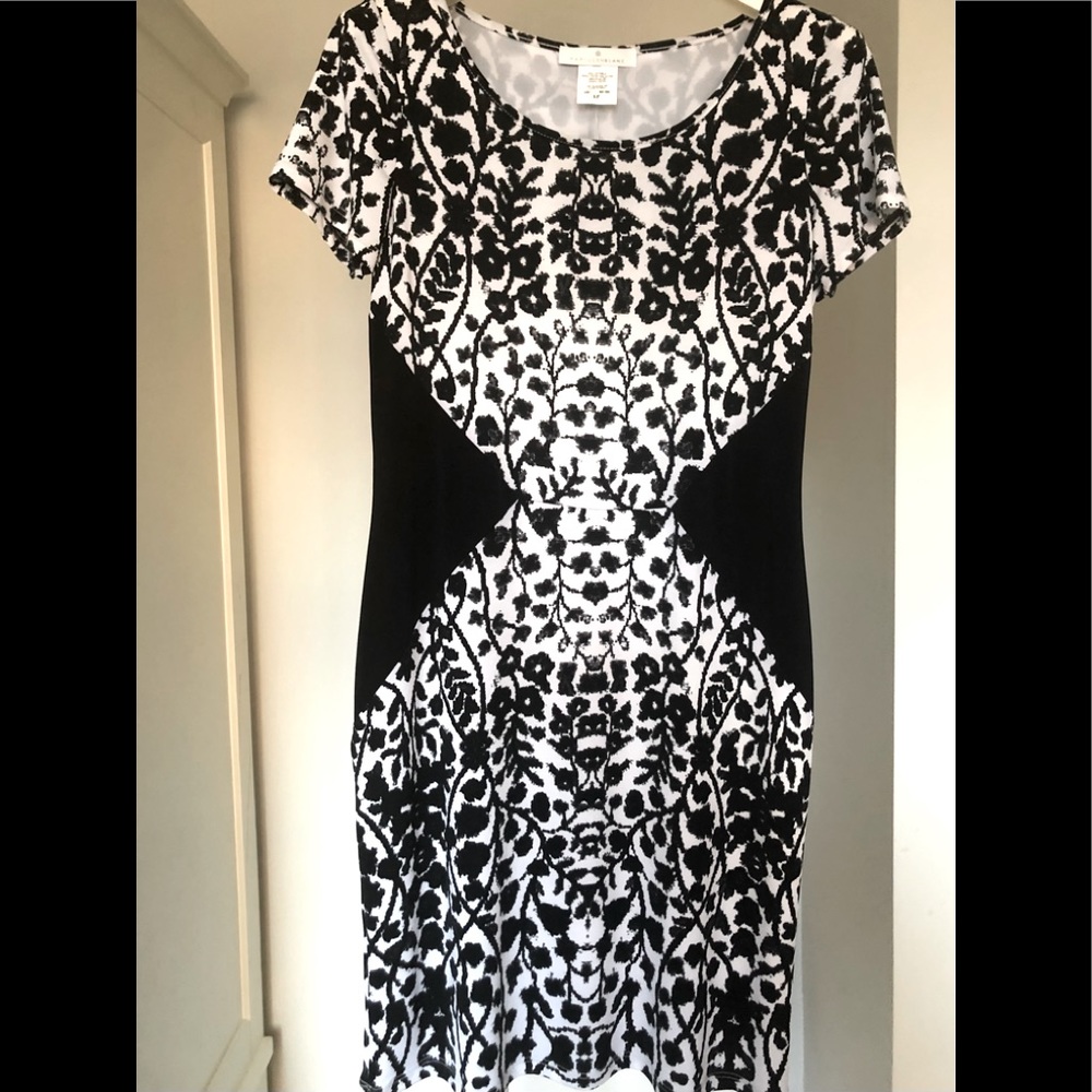 Papillon Blanc Dress - Small (NWT)